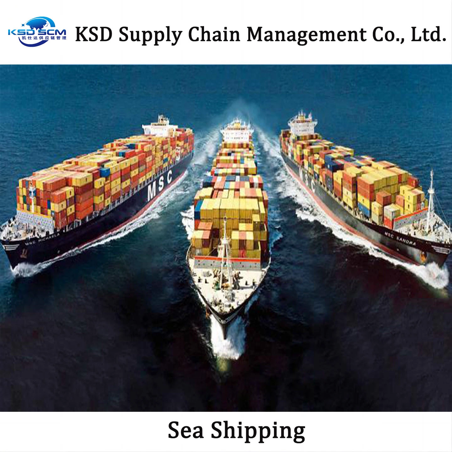 Best Sea Freight Service for FCL LCL by Sea Shipping Agent Freight Forwarder From China to Indian