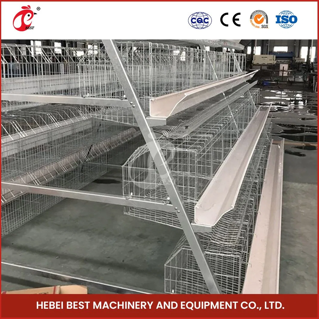 Bestchickencage a Type Chicken Pullet House Cage Breeder Cage China Brooder Chicken Huts Supplier OEM Customized Competitive Price Brooder Battery Cages