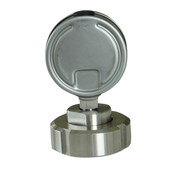 2.5 Inch Diameter Ss316L Threaded Connection Diaphragm Pressure Gauge Dn 25