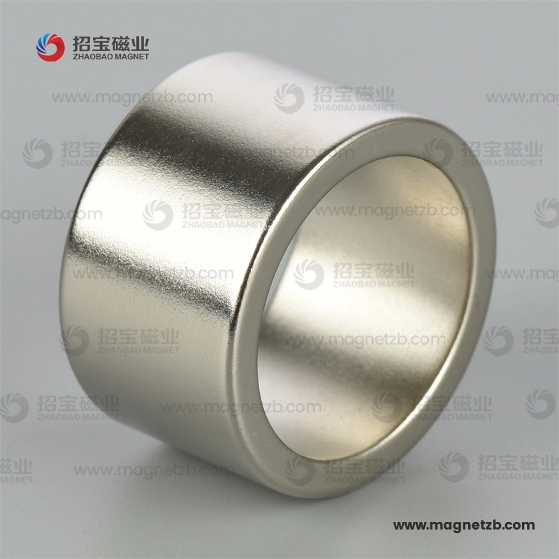 Radial Orientation High quality/High cost performance  Rare Earth Permanent Strong Magnetic Material Customized Industry Sintered Neodimio Neodymium NdFeB Magnet Ring with Multipoles