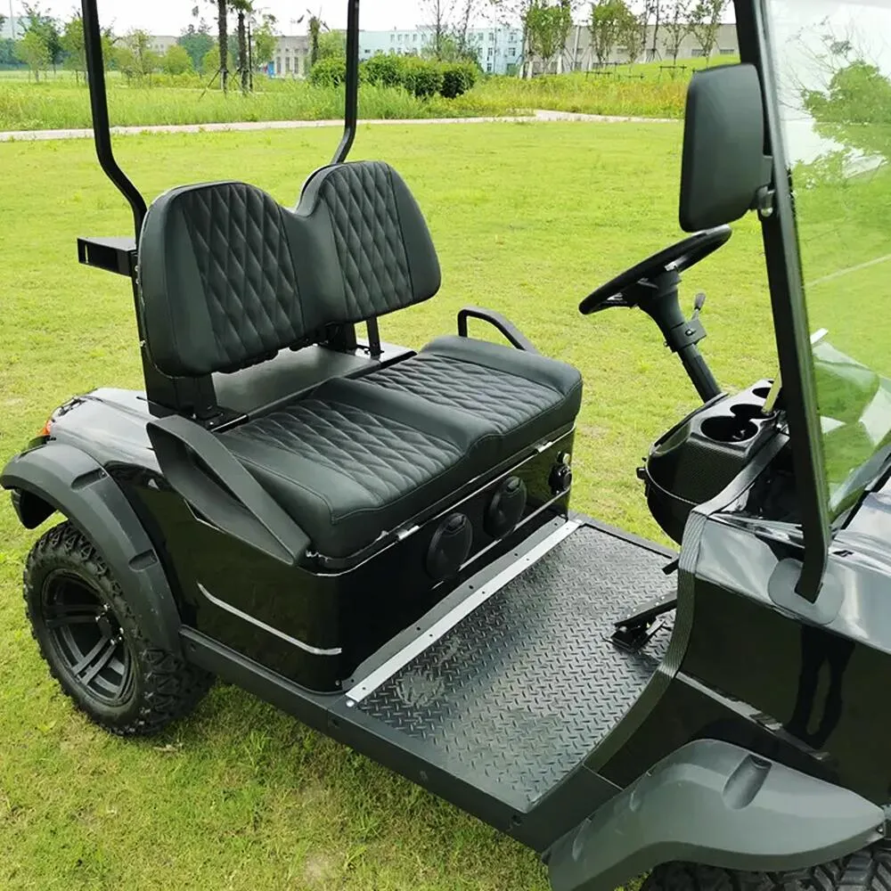 Made in China Electric 4-Wheeler unterstützt kundenspezifische Farbe und Stil LED Licht elektrischer Handwagen New Energy Electric Golf Cart
