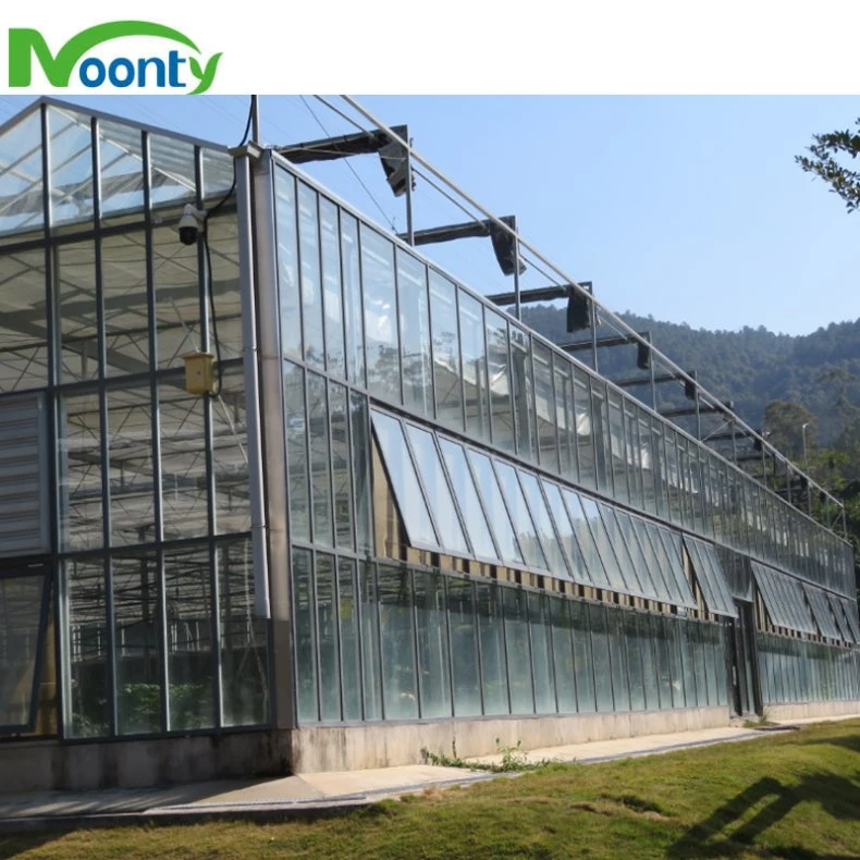 Intelligent High quality/High cost performance Agricultural Glass Greenhouse with Auto Control System