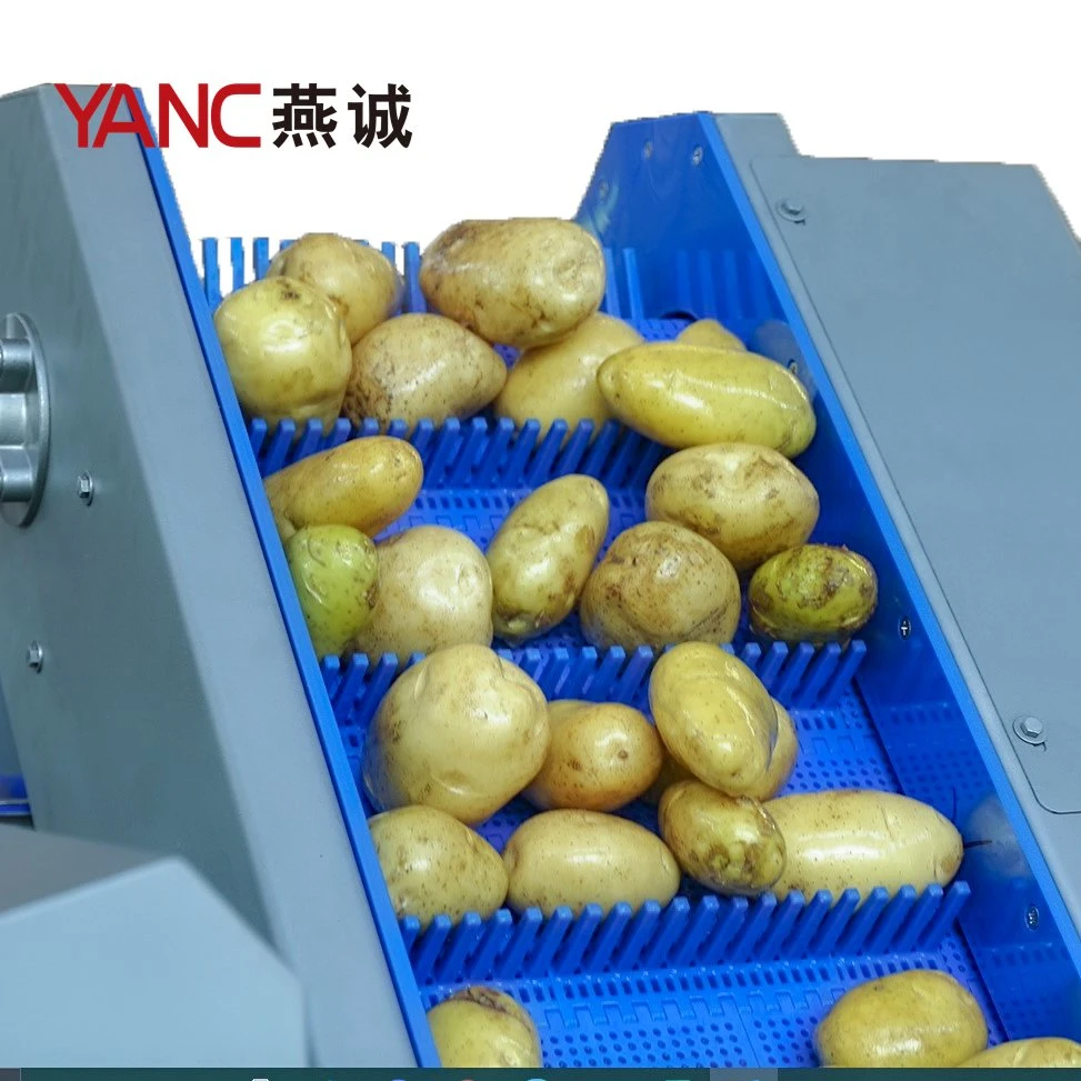 Yc-Cx2000 Root Vegetable Pre-Washing Inclining Belt Conveyor Conveyor Roller