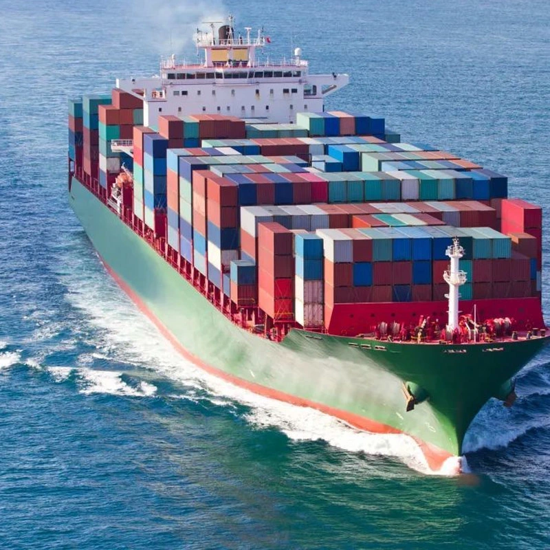 China fornecedores Sea Freight Rates Shipping Agent para México