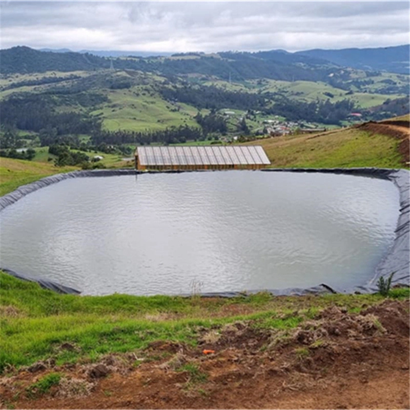 Terraplén ASTM GM16 Geo Liner 500/8000/1000 micras Fabricante Anti-filtración impermeable HDPE Geomembrana para la Granja del té en Venezuela/Senegal