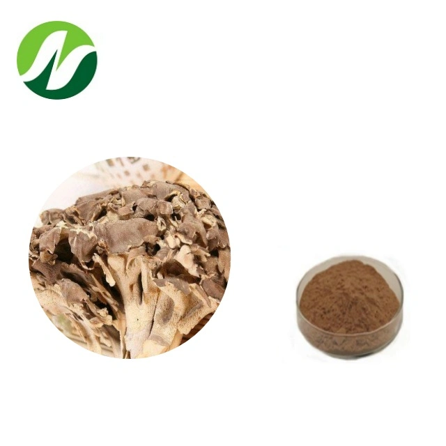 High Quality 10%~50% Polysaccharides Maitake Mushroom Extract