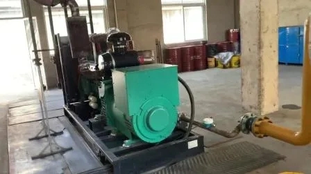 Gas Electric Generator for Sale 20kw 30kw 40kw 50 Kw 80kw 100kw 120kw 1500/1800rpm Stamford 50/60Hz Natural Gas Generator