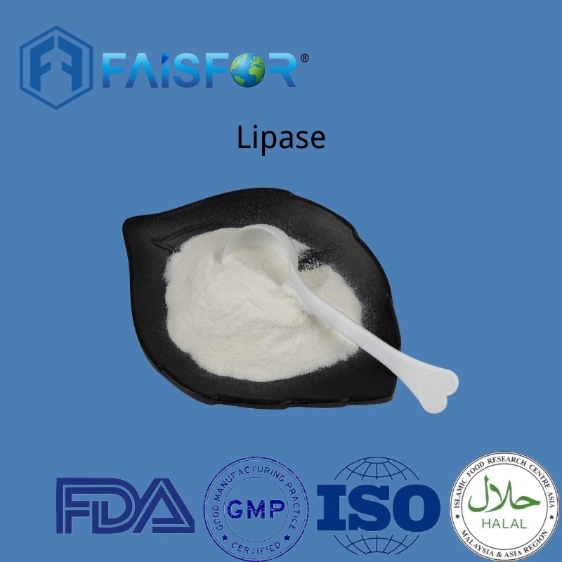 Food Additive Lipase for Food and Animal Feed
