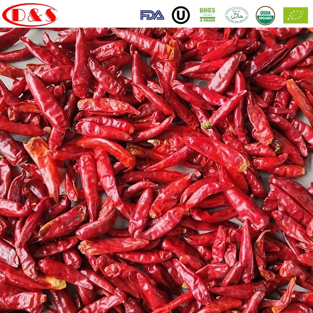 Dulce seco de pimiento rojo pimentón dulce todo /Vainas chile rojo seco