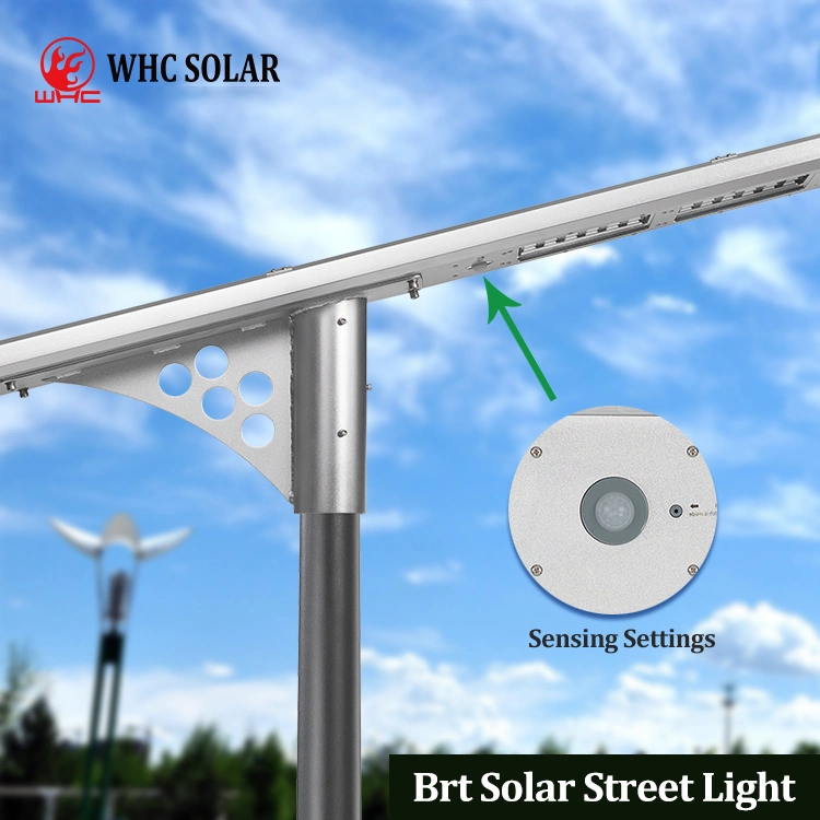 Whc TUV SGS BV Inspected Factory Solar Flood Light with Smart Remote Control Long-Lasting Solar Light