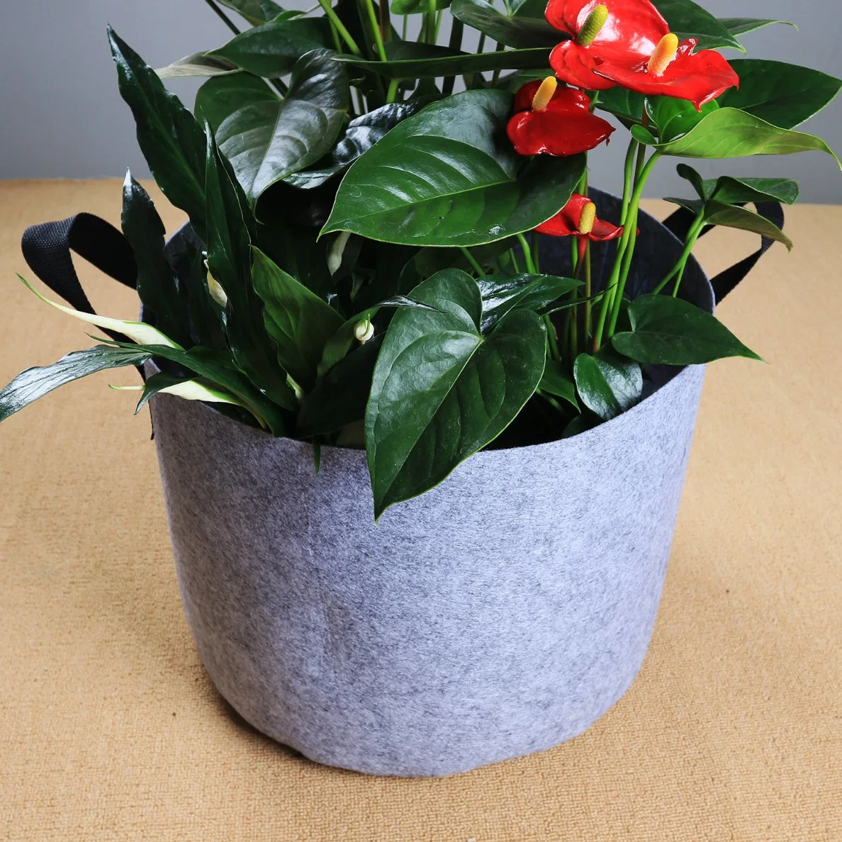 Black Non-Woven Fabric Plant Growing Pot Flower Grow Bags