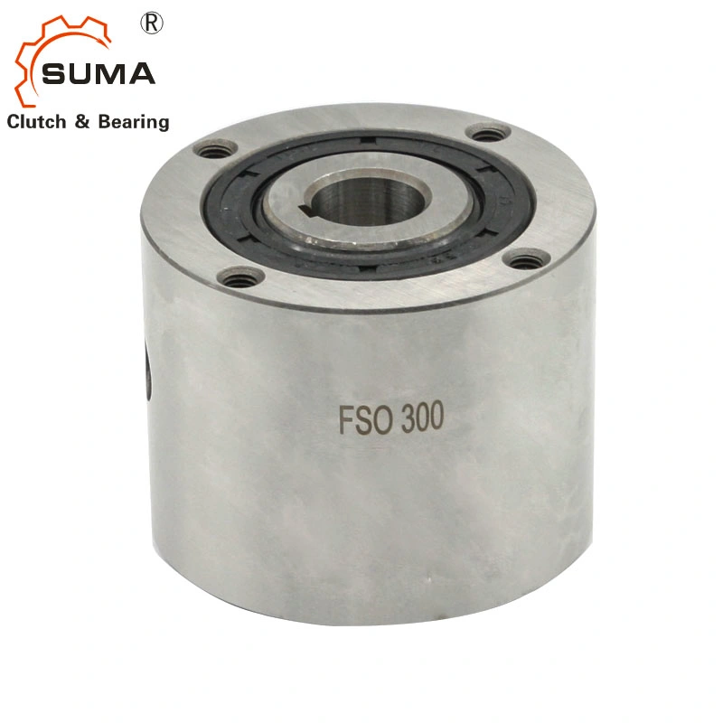 Fso600 Hpi600 Freewheel Sprag Bearings One Way Cam Clutch