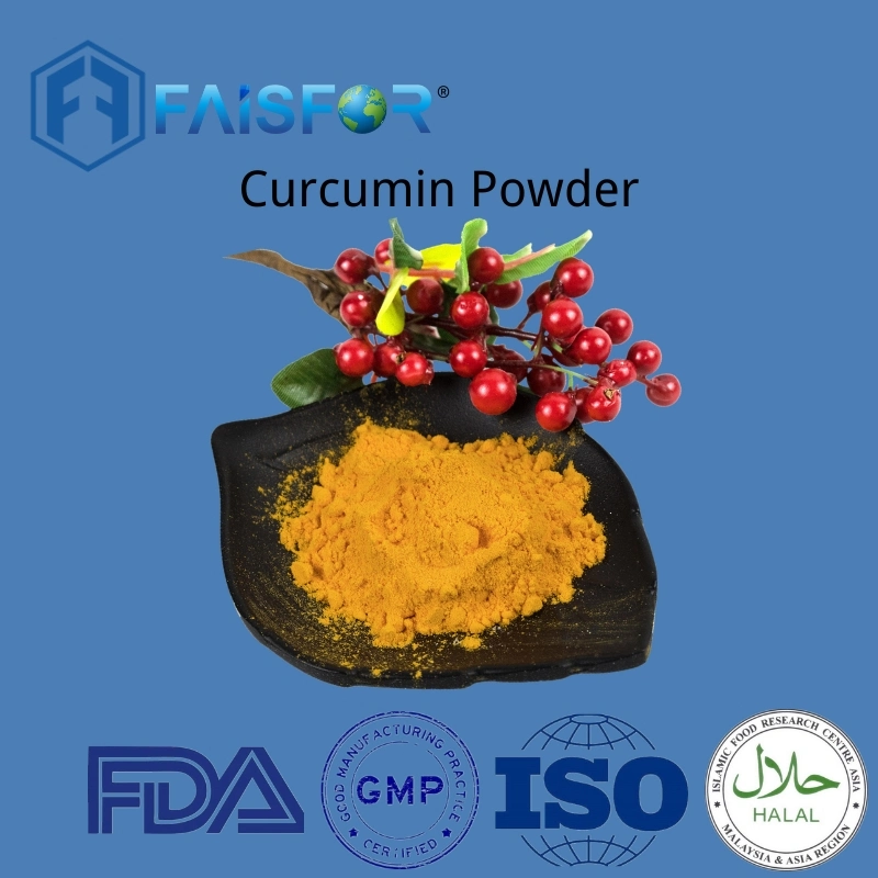 Manufacturer Supply Competitive Price Health Food Curcumin Powder