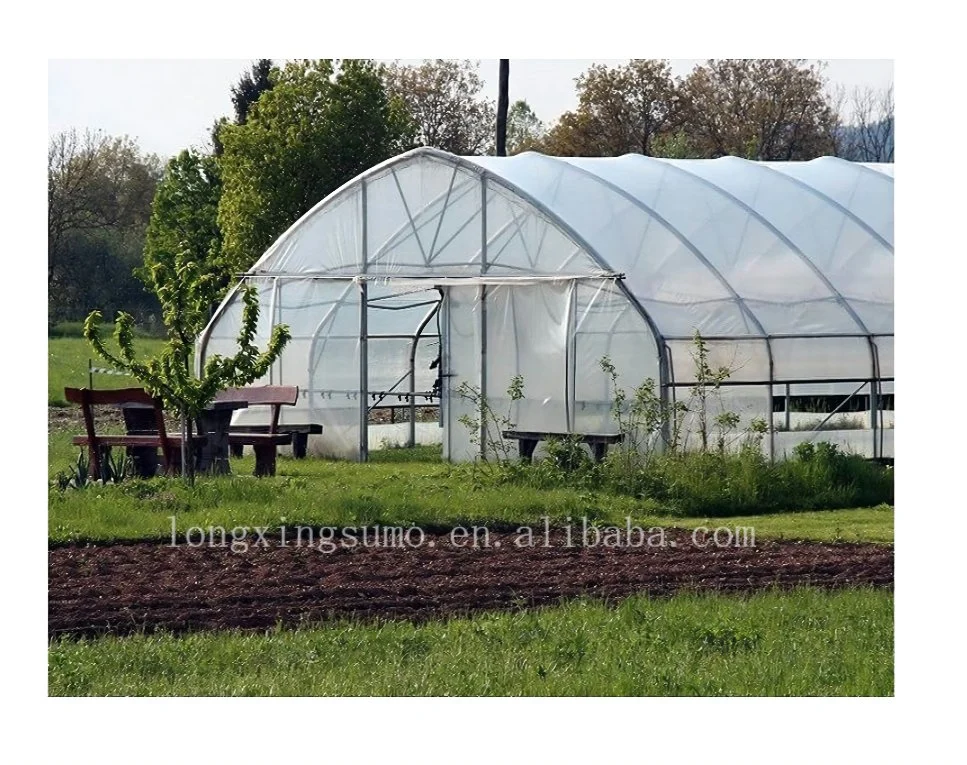 Plastic Film Greenhouse Heat Resistant Film for Greenhouses Anti Drip Woven Greenhouse Film Polycarbonate Plastic