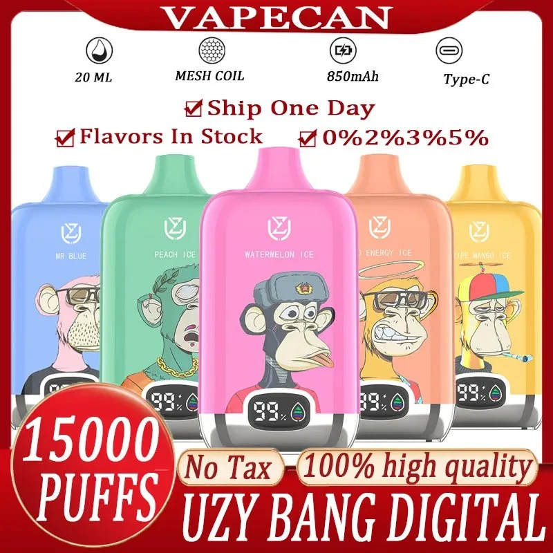 2024 Bang Box Recharge Disposable/Chargeable Vape 15000 Puffs Randm Tornado King E Cigarette 5% Geek Vape Bar Disposable/Chargeable Vape E-CIGS