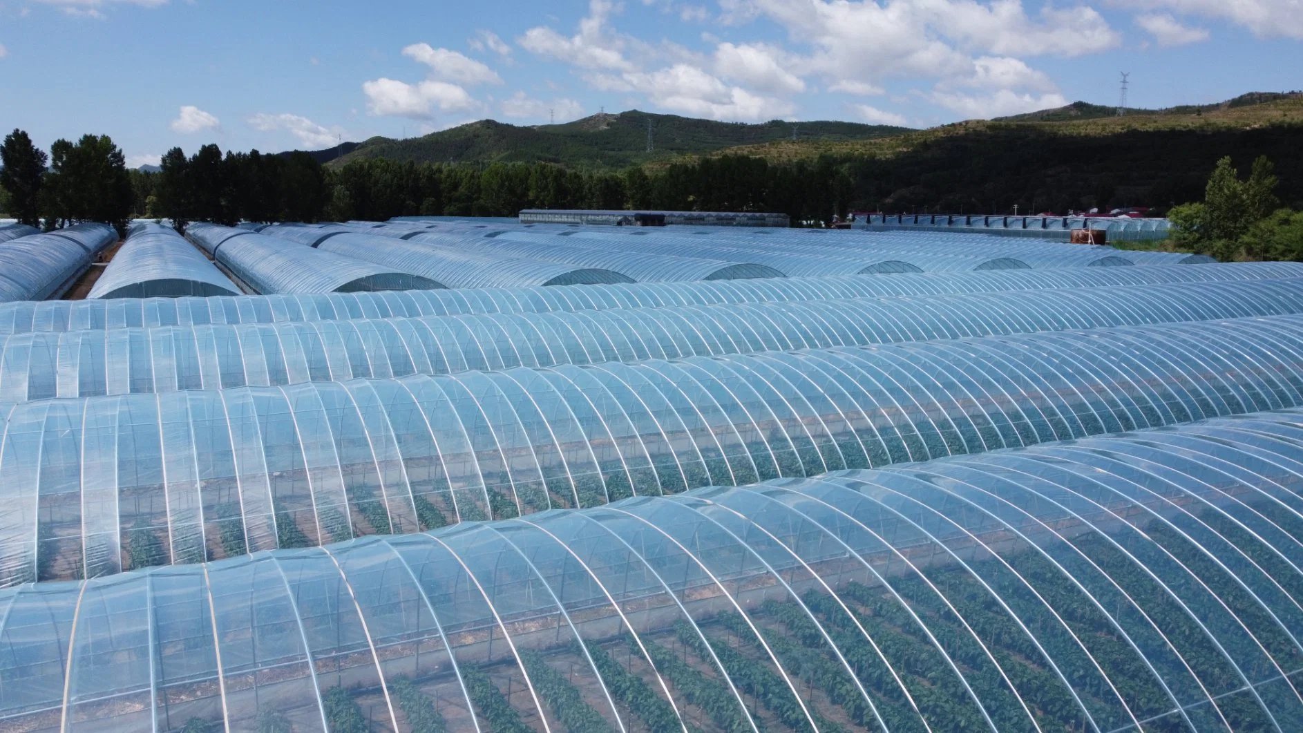 UV-behandelte Plastikfolie, landwirtschaftliche transparente Gewächshausfolie für Gewächshaus Abdeckung zu guten Preisen