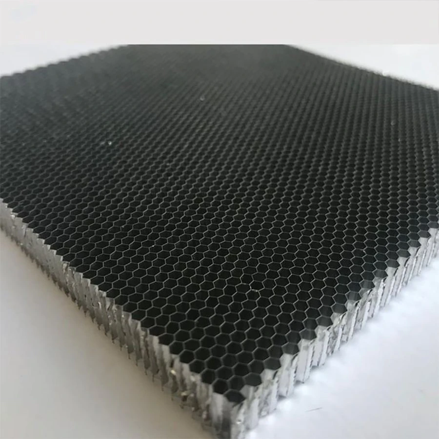 Plastic Honeycomb Sheet Extruded Sheet Corrosion Resistance Matte Honeycomb Sandwich Panel in Good Price