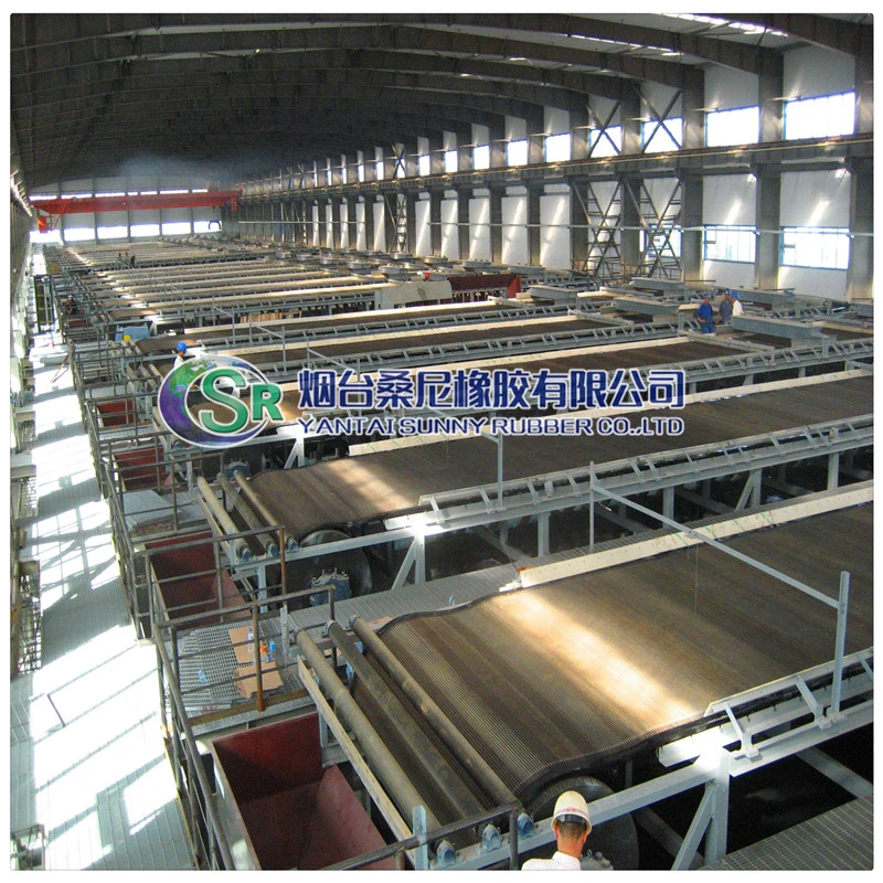 Solid and Liquid Separation Machines Used in Chemical Industry Vacuum Filter Conveyor Belt with Drainage Hole