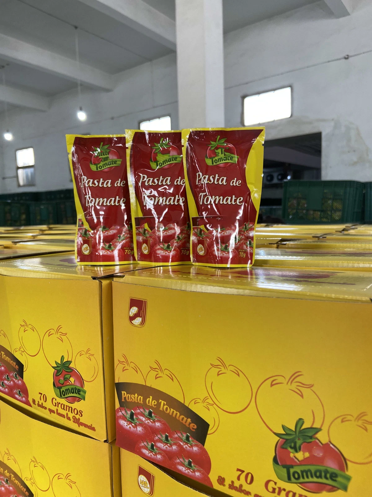 Tomato Paste Canned Tomato Paste Concentrated for Wholesale/Supplier