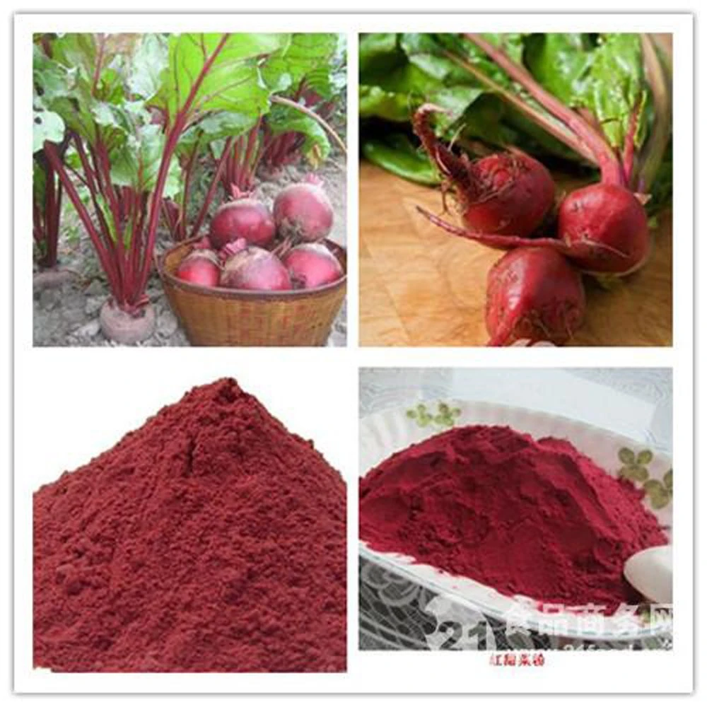 100% Pure Natural Food Colorant Beet-Root Concerntrated Juice Powder for Health Product
