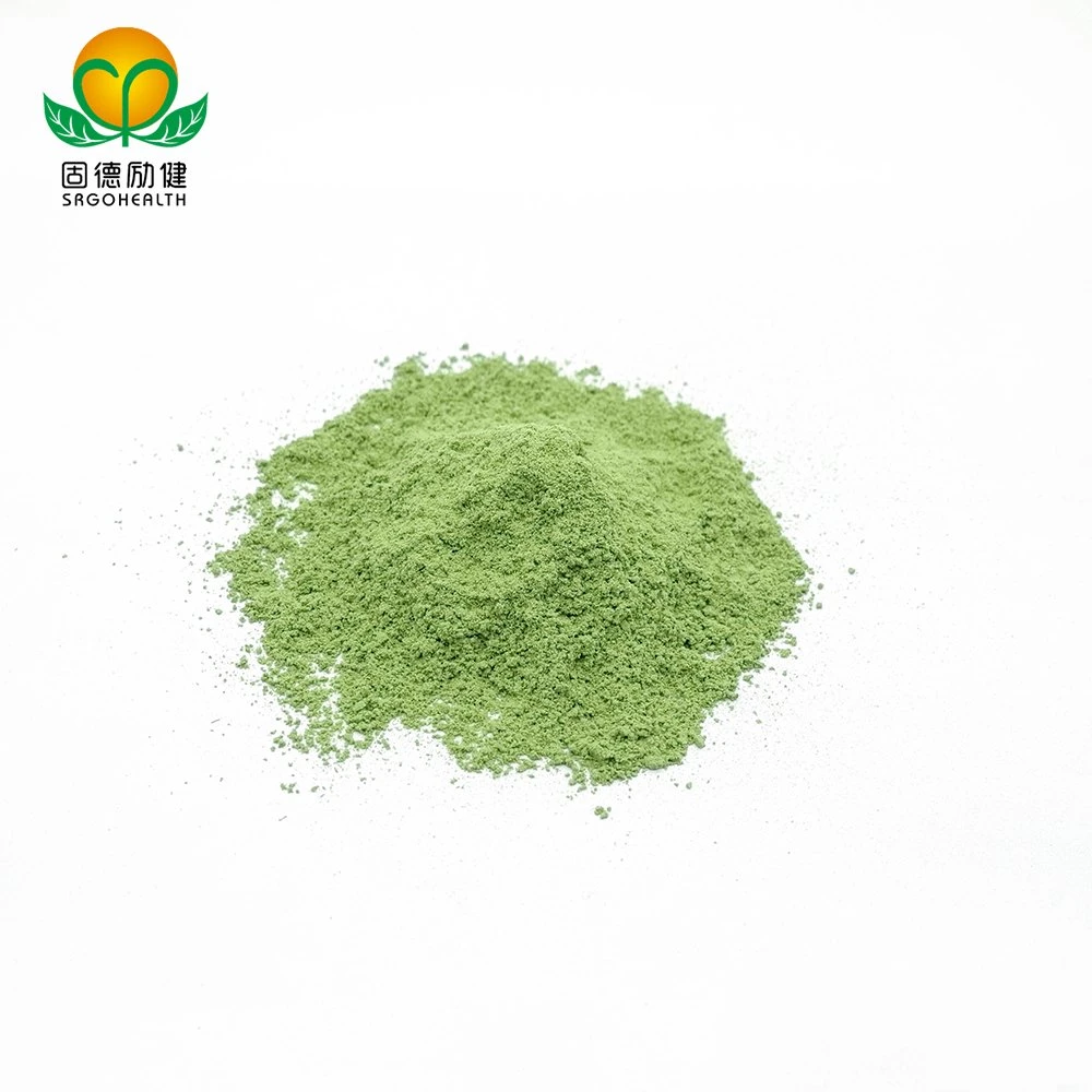 مسحوق جديد لقطعةGMP معتمدة من Matcha Powder