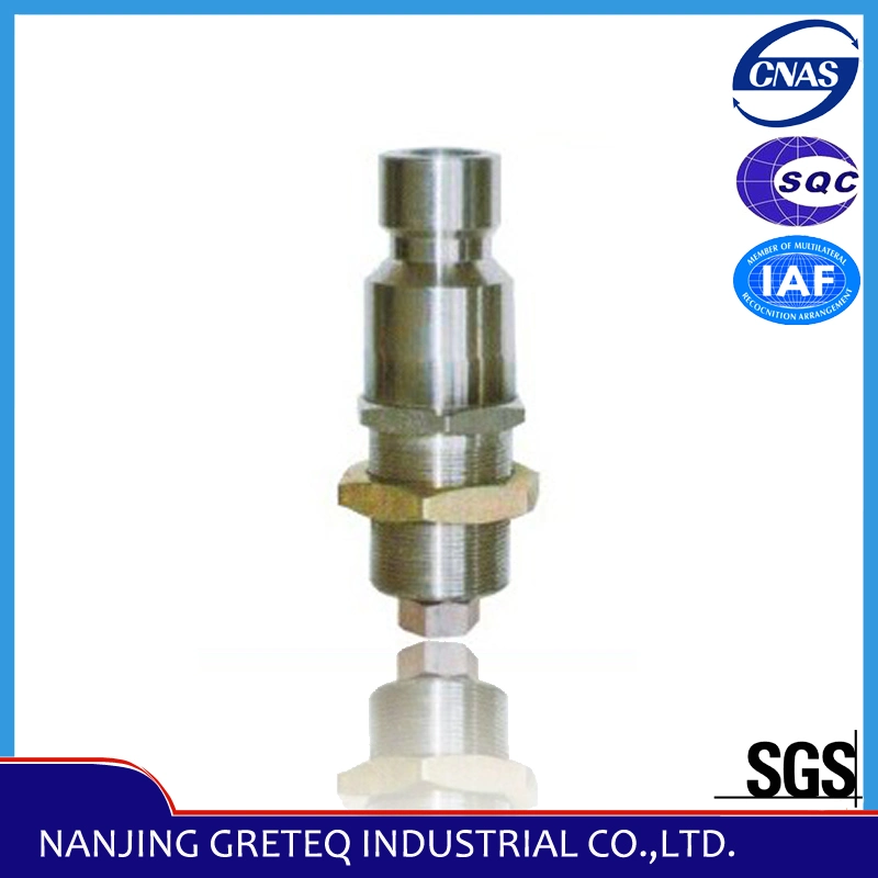 QF-T5 Stainless Steel CNG Fuel Filling Valve