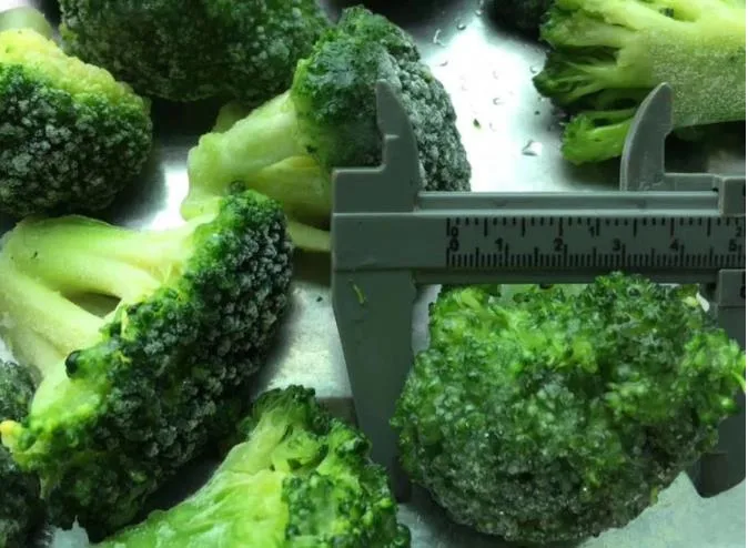 IQF Broccoli Frozen Broccoli 3-5cm, 4-6cm High quality/High cost performance  Frozen Vegetables