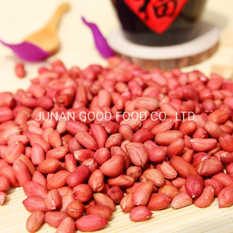 Hot Sale Peanut and Groundnut Without Shell Peanut