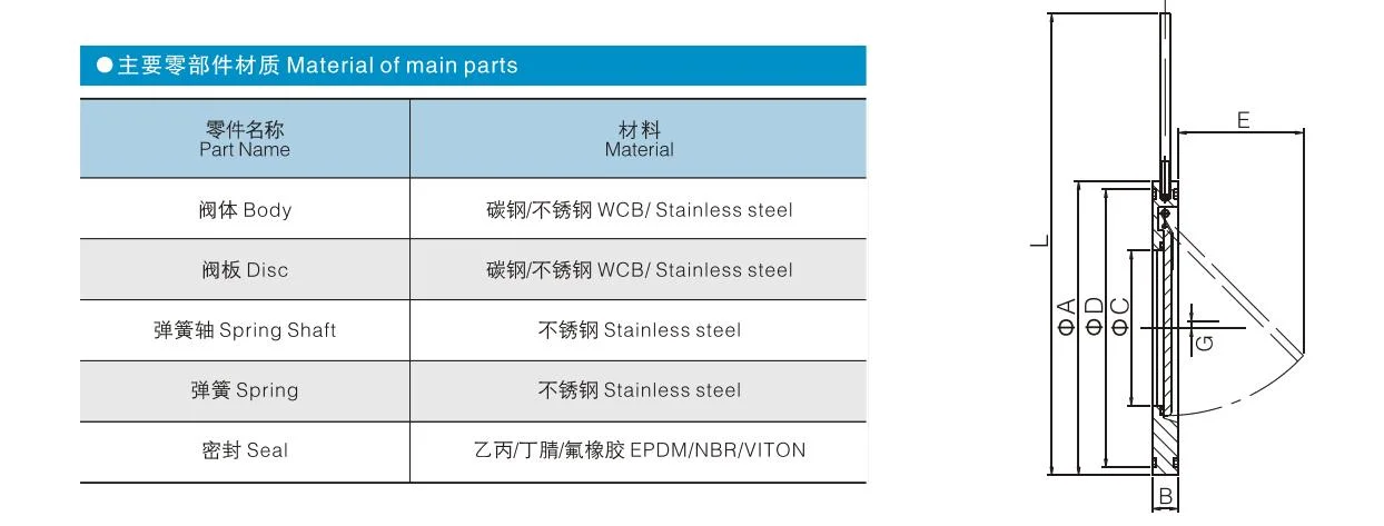 DN50-DN300 Single Board Stainless Steel Check Valve