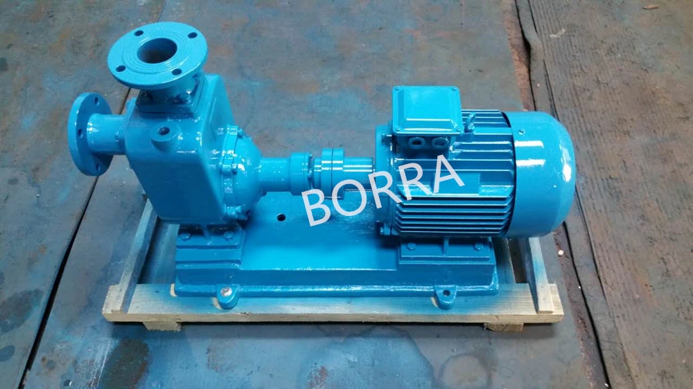 Self-Priming Electric Clean Centrifugal Water Pump