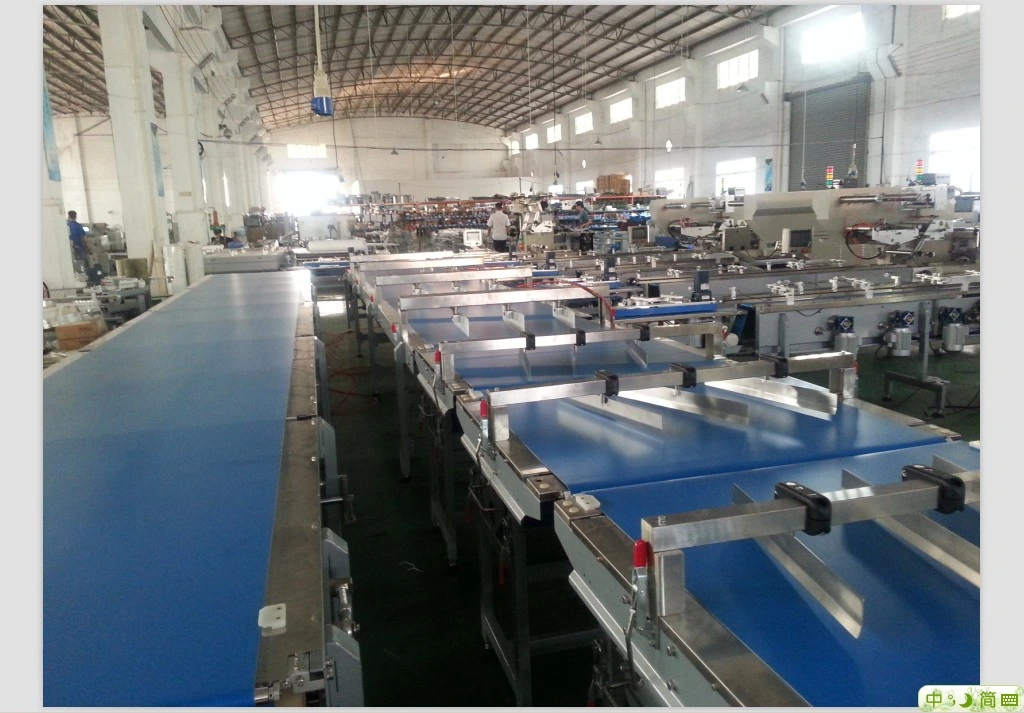 Full Automatic Multi-Function Horizontal Stainless Steel Pillow Food&#160; Packaging&#160; Packing&#160;