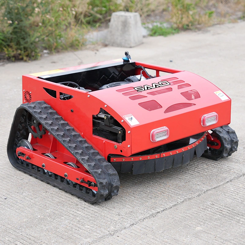 Small Robotic Garden Lawn Mower CE Euro 5 EPA Remote Control Lawn Mower RC