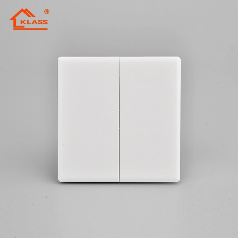 Wenzhou Switches and Socket Factory Outlet 2 Gang 2way Wall Switch Socket for Power Supply Switch Household