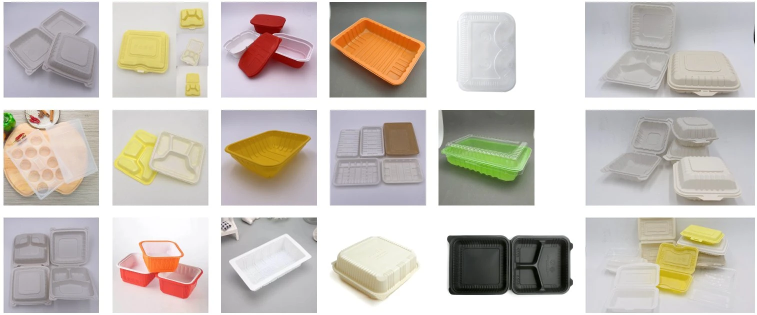 High Speed Plastic Take out Food Box Lunch Box Clamshell Box Machine