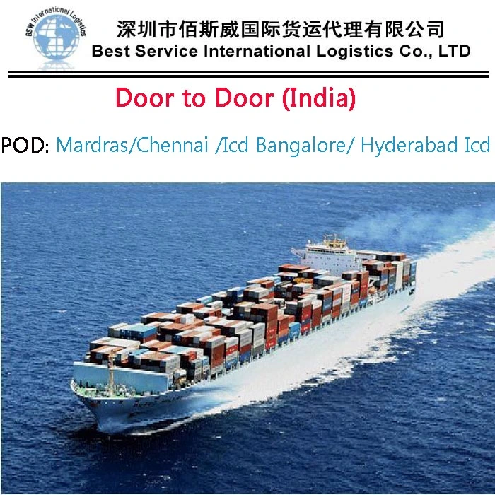 Safe and Cheapest Ocean Shipping International Forwarder Freight to Sea Fright From China to Argentina