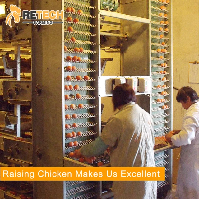 Retech Automatic Poultry Farming Equipment Chicken Layer Battery Cage
