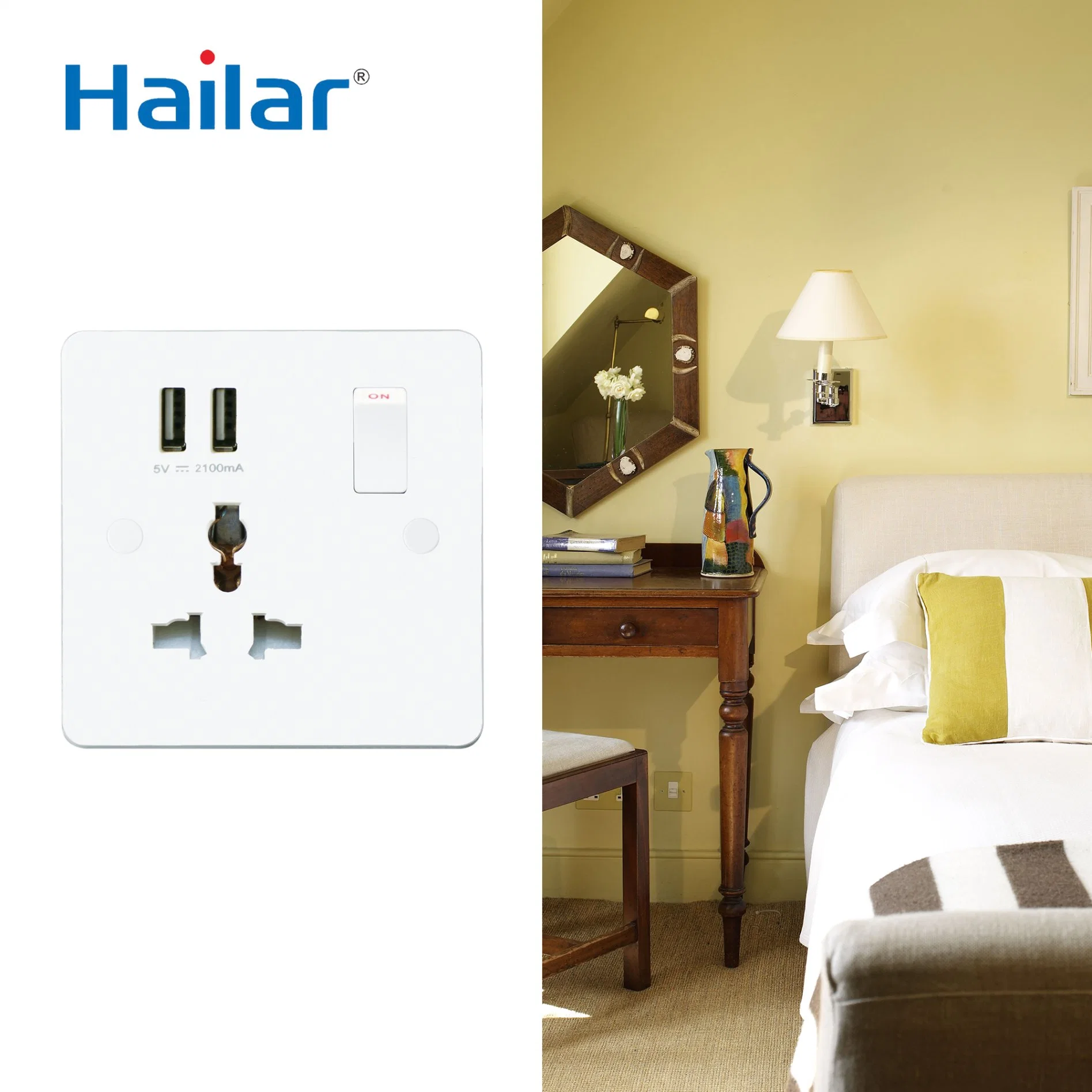 Hailar 13A 1gang Switched Universal Socket Dual USB Outlet