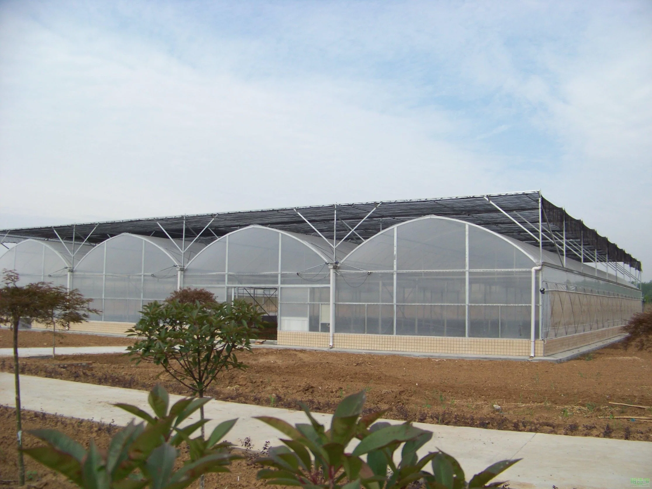 Agriculture/Commerce Multi Span Toughe Glass Green House for Vegetable/Flower/Fruits with Complete System/Hydroponic Systems/Automatic Irrigation System