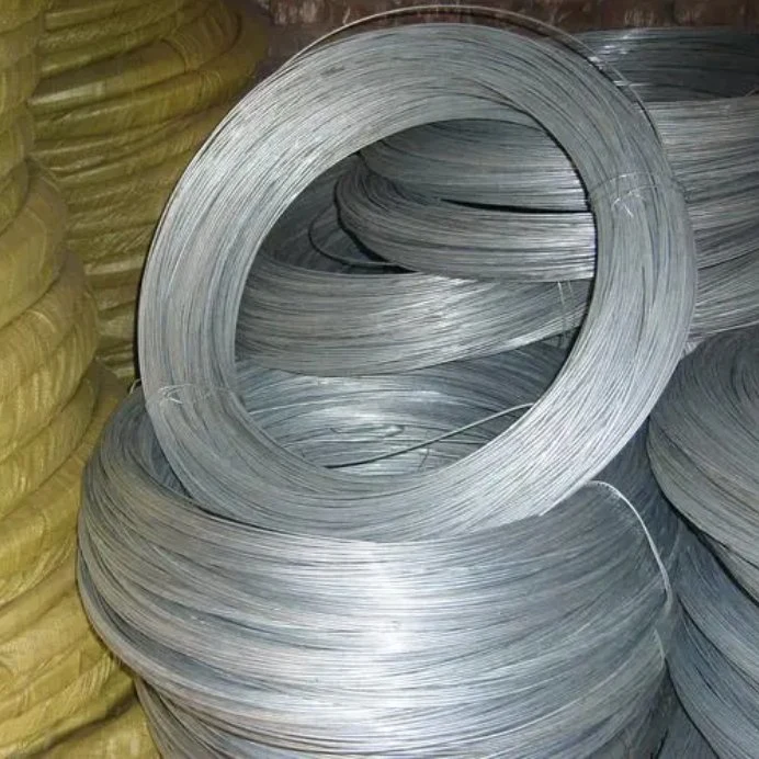 Galvanized or Black Annealed Iron Steel Wire for Rope in Roll Coil Price for Drywall Screw Making