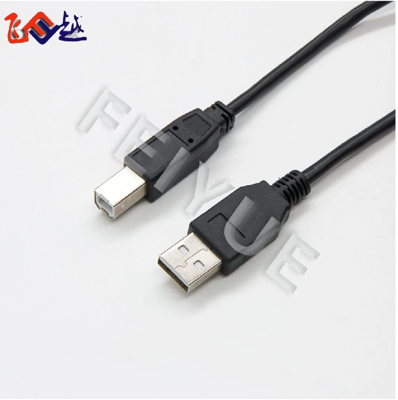 Câble d'imprimante USB 2.0 a mâle vers B mâle