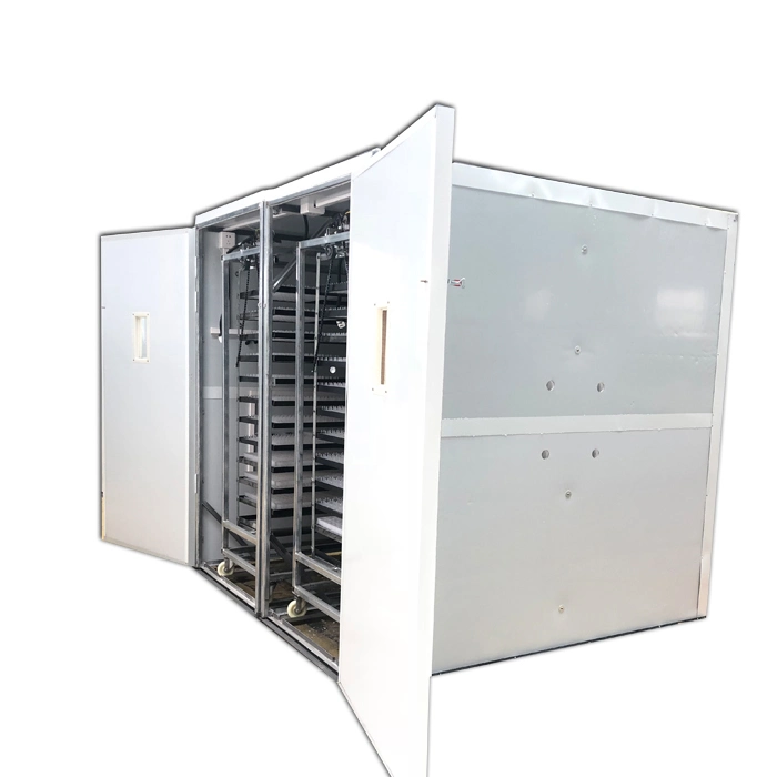 Digital Pigeon 8448 Eggs Automatic Egg Incubator Kerosene Operated for Sale