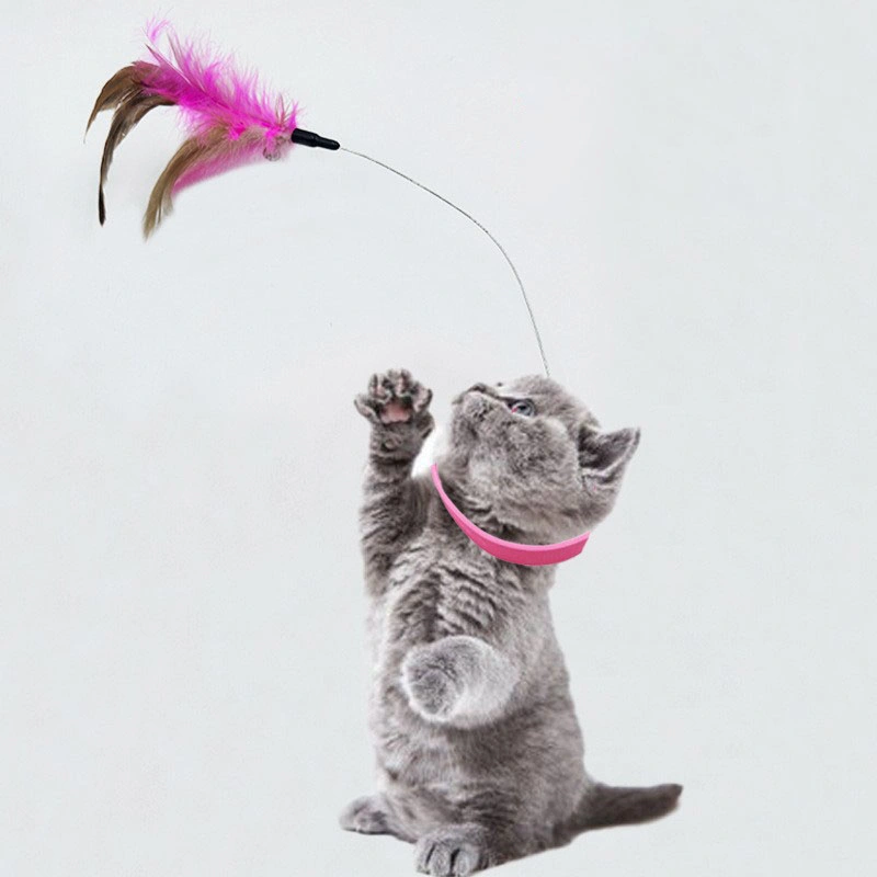 Funny Feather Teaser Stick with Bell Pets Collar Kitten Playing Teaser Wand Training Toys for Cats Supplies