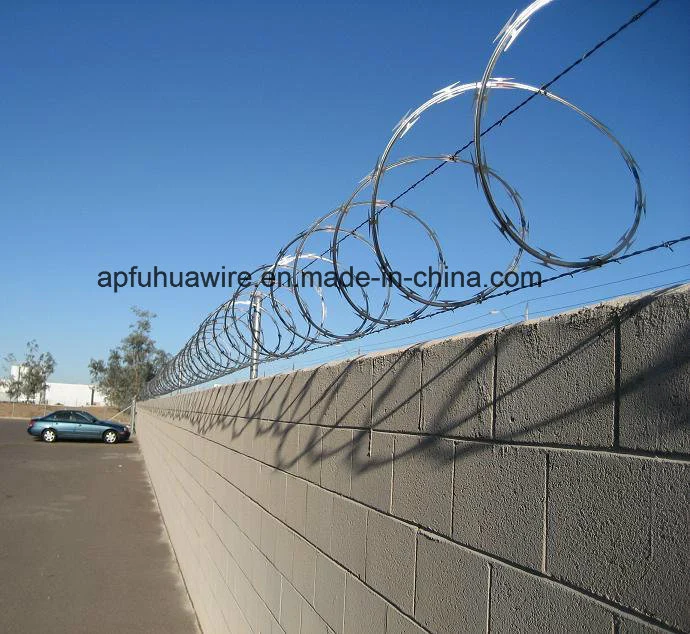 Cbt65 Single Coil Razor Barbed Wire