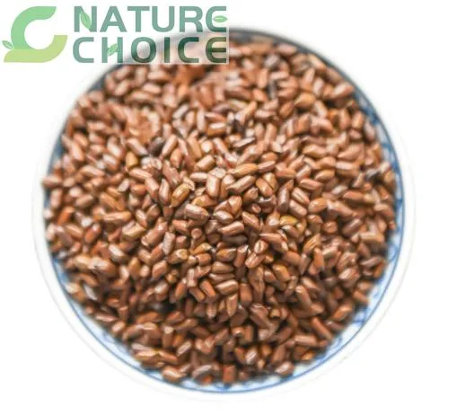 Natural Whole Baked Seeds Fried Semen Cassiae to Brighten Eyes