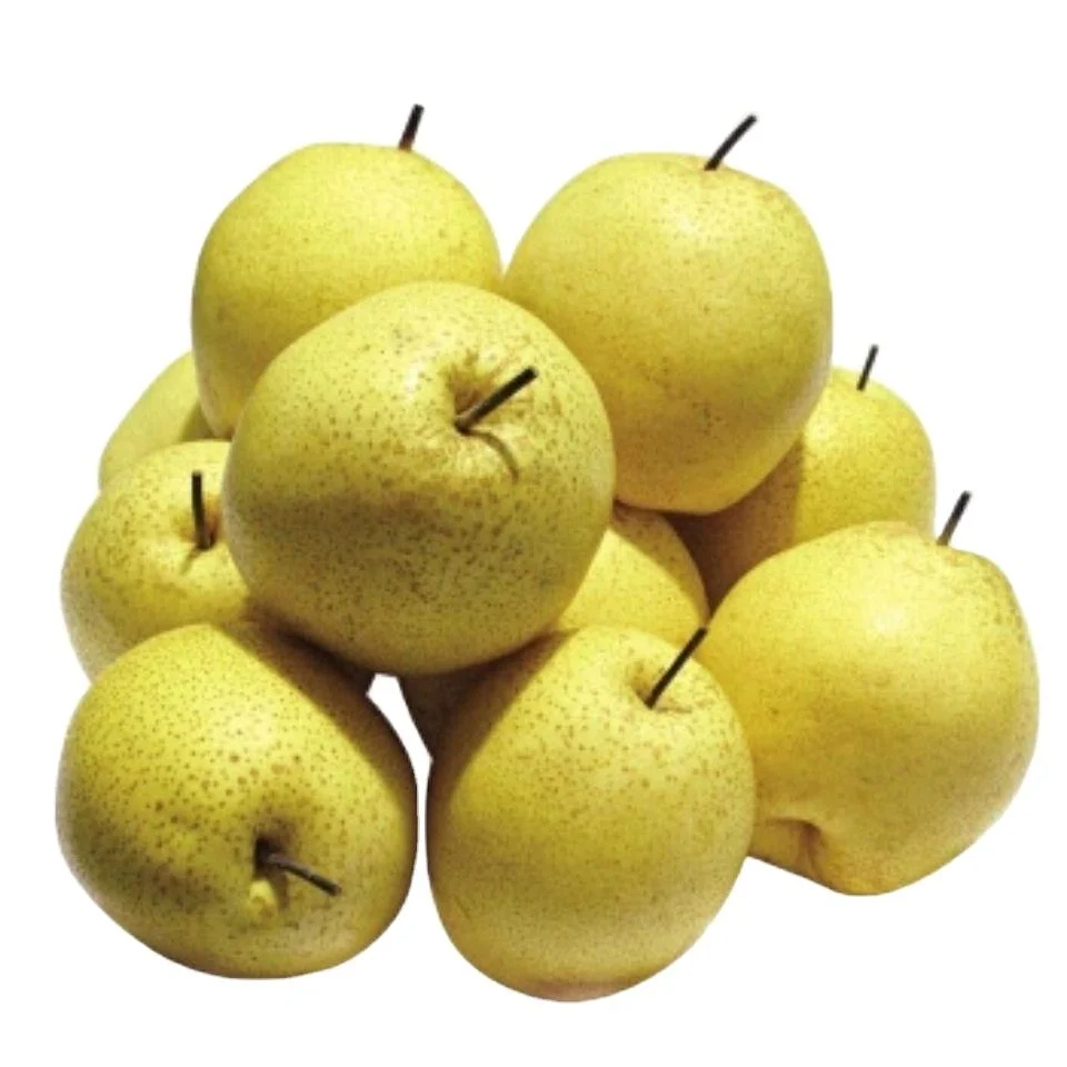 China Fresh Crown Qiuyue Pear Fruit with ISO HACCP Apple Orange Grape