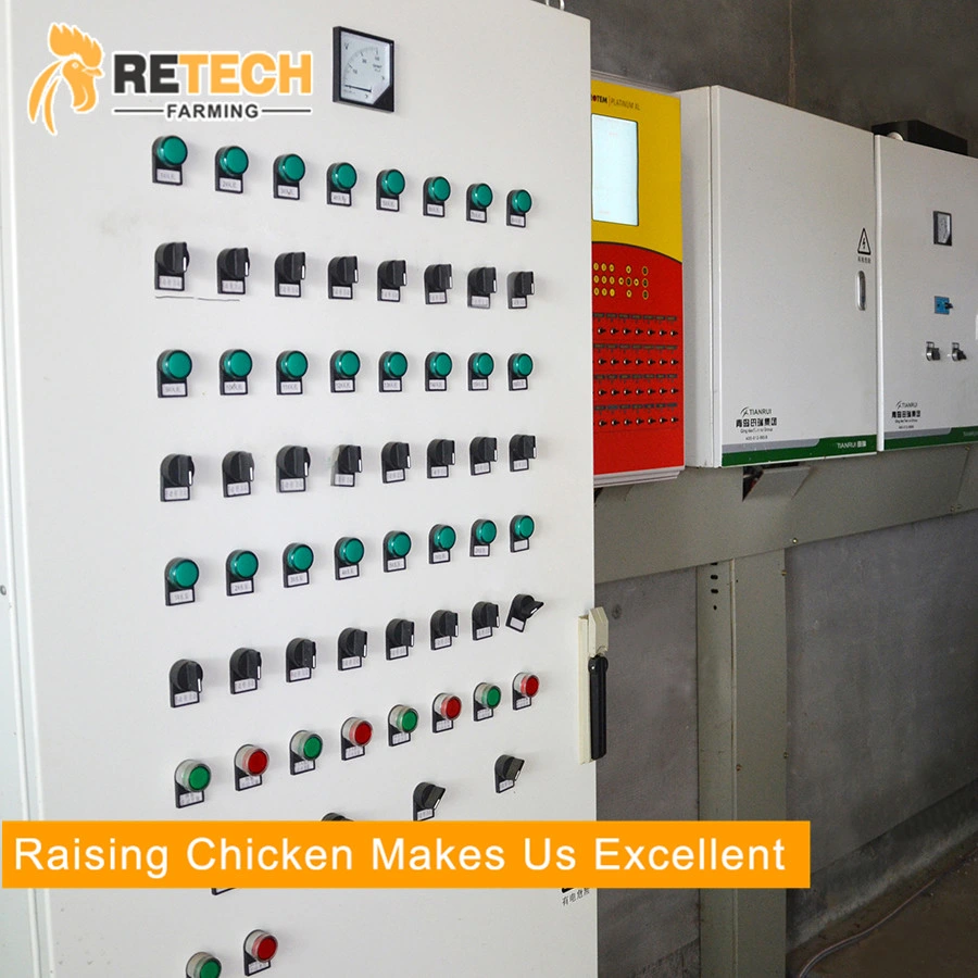 Popular H Type Layer Chicken Poultry Equipment for Sale