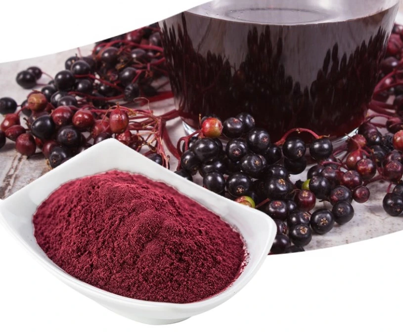 Natural Black Elderberry Extract Powder 25% Anthocyanin