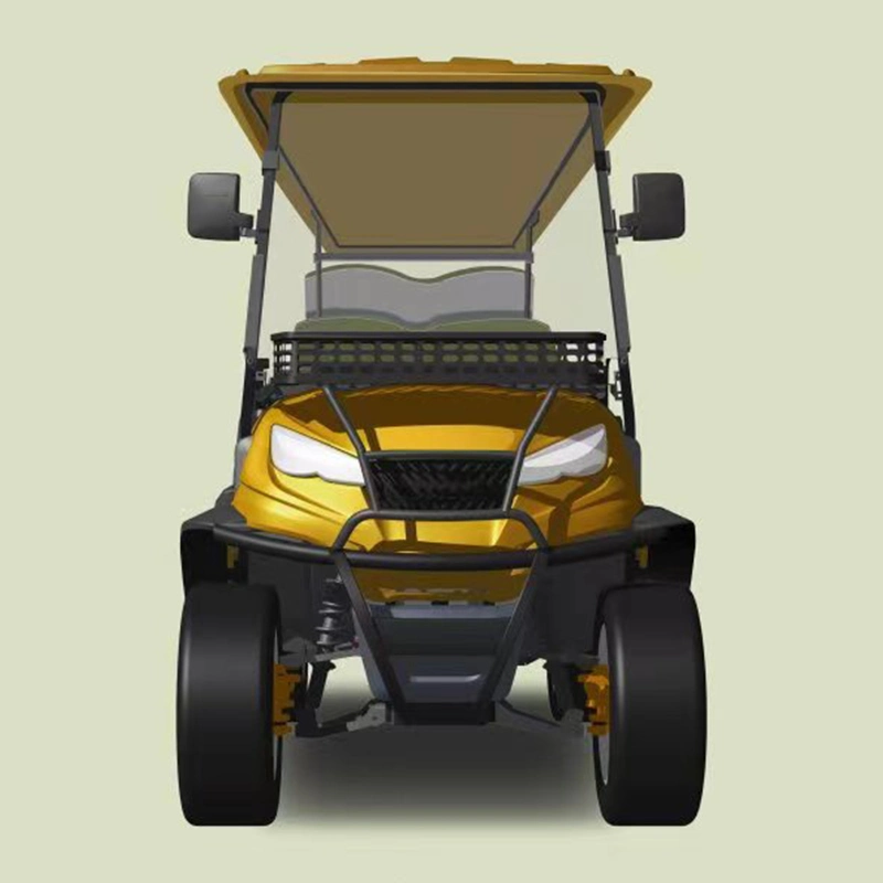 OEM Brand 48V/72V 20units/40hq 3units/Crate China Cart Electric Golf Car with Good Service