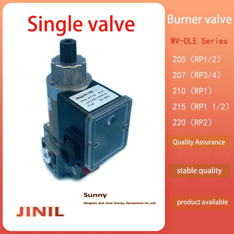 Gas Valve Replacement LPG Gas Solenoid Valve