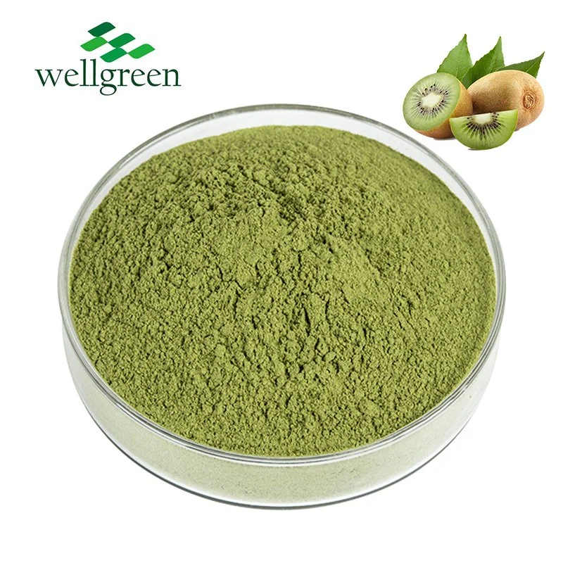 Wholesale Vitamin C Fruit Juice Extract Freezed Dried Fermented Natural Kiwi Powder